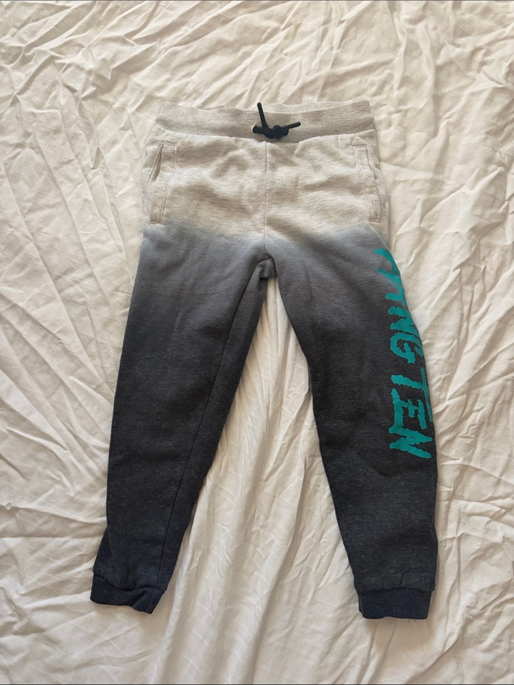Roots Ombre Gray-to-Black Joggers with Teal 'NIGHT' Side Graphic
